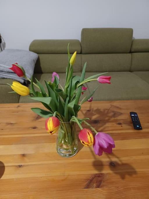 Apartmán Sehr Zentral Gelegen Vídeň Exteriér fotografie
