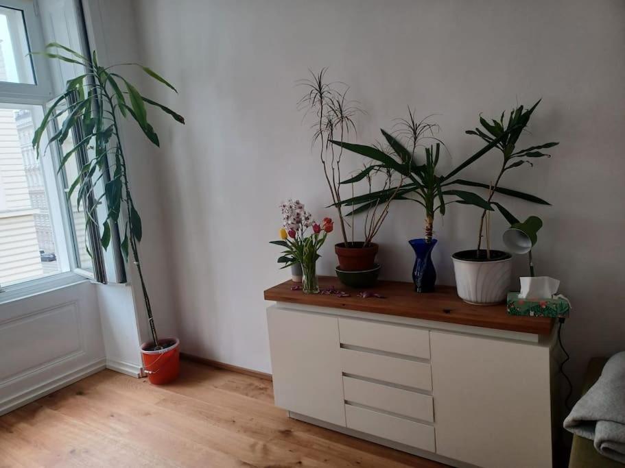 Apartmán Sehr Zentral Gelegen Vídeň Exteriér fotografie